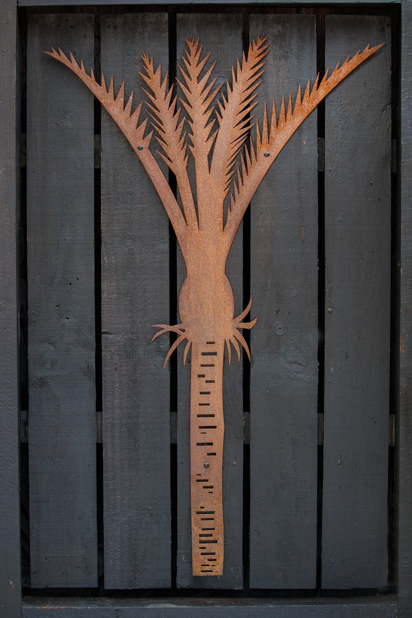 Nikau