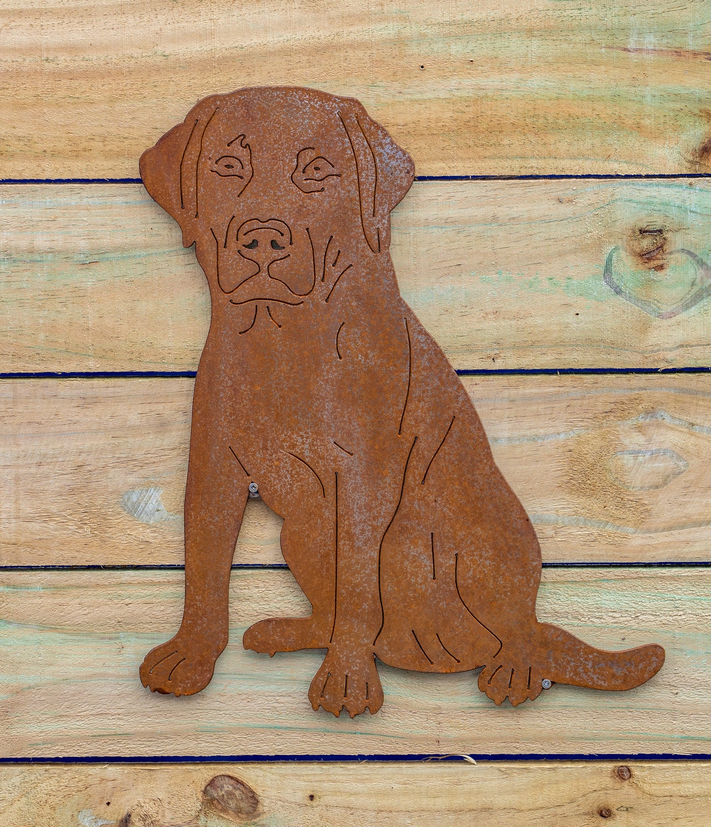 Labrador