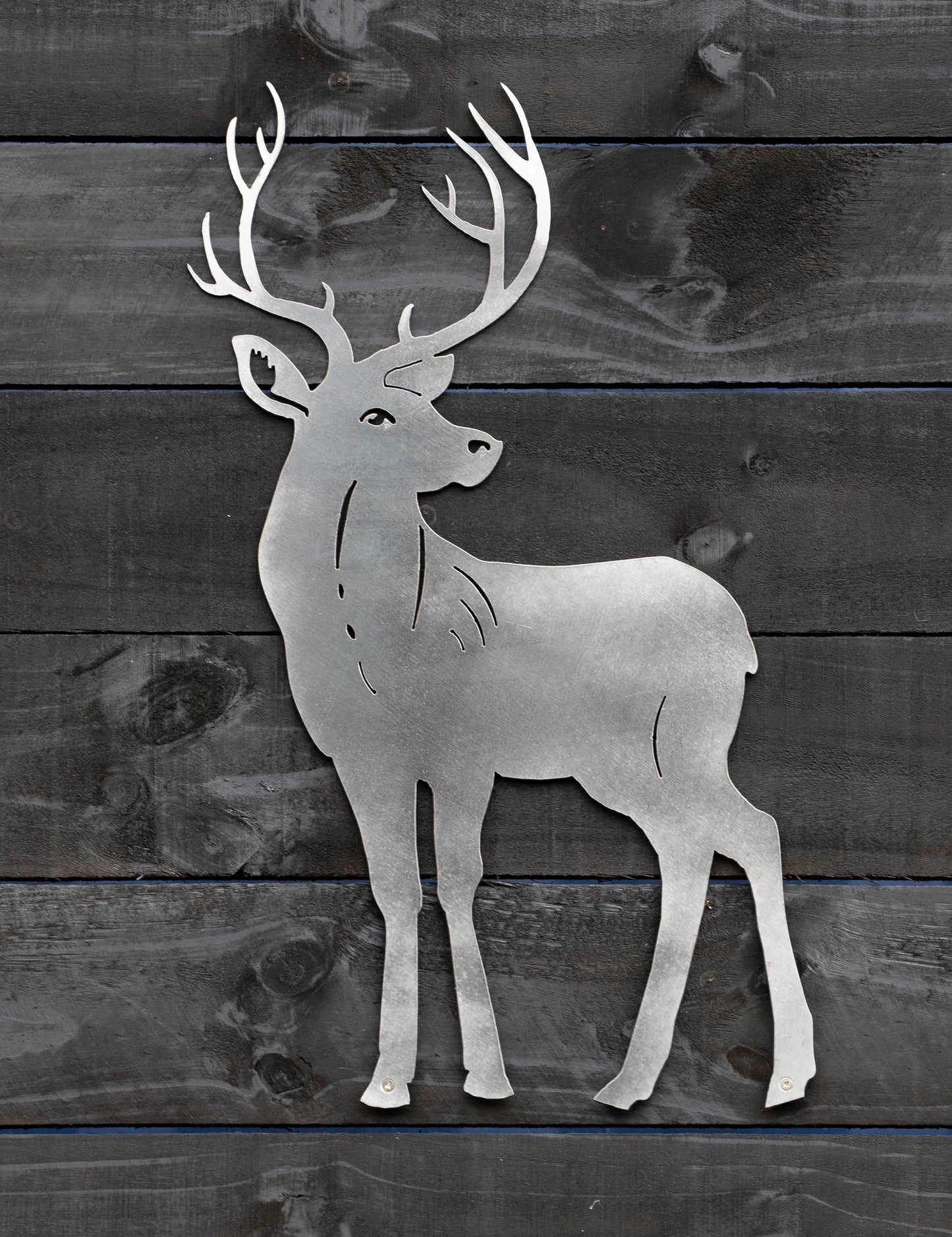 Stag