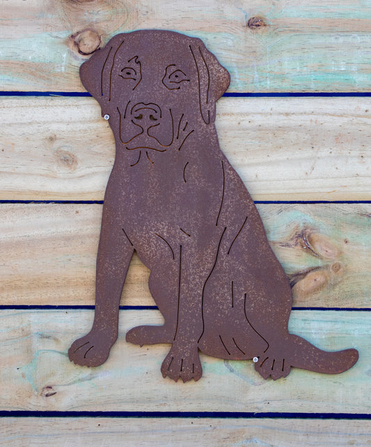 Labrador